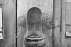 DSC_6450