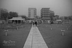 EF5D7767