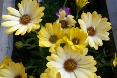 20130411_184337