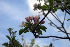 DSCN1231