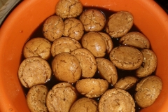 IMG_20120518_225842