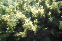 DSCN0427