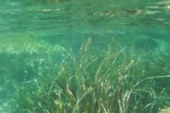 DSCN0818